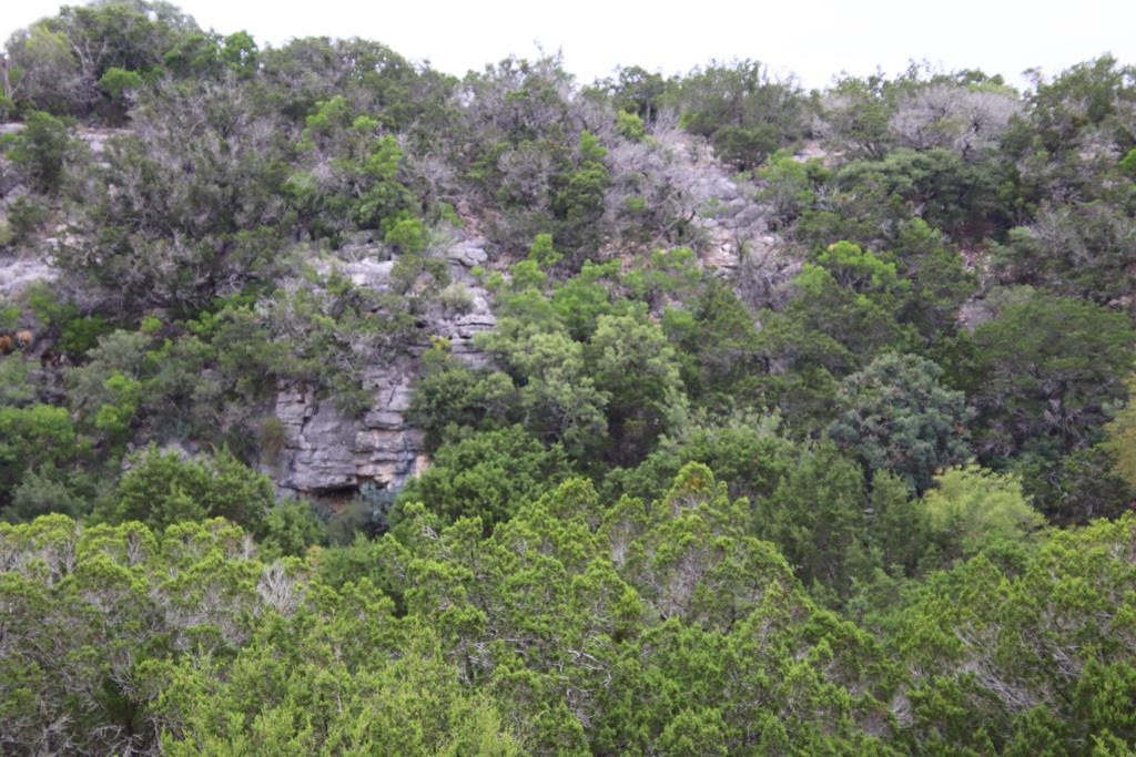 2521 Sd 31600 Rocksprings, TX 78880 - Photo 45 of 58