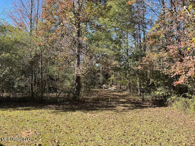 $288,000 | 155 Sonny's Road, Madison, MS 39110