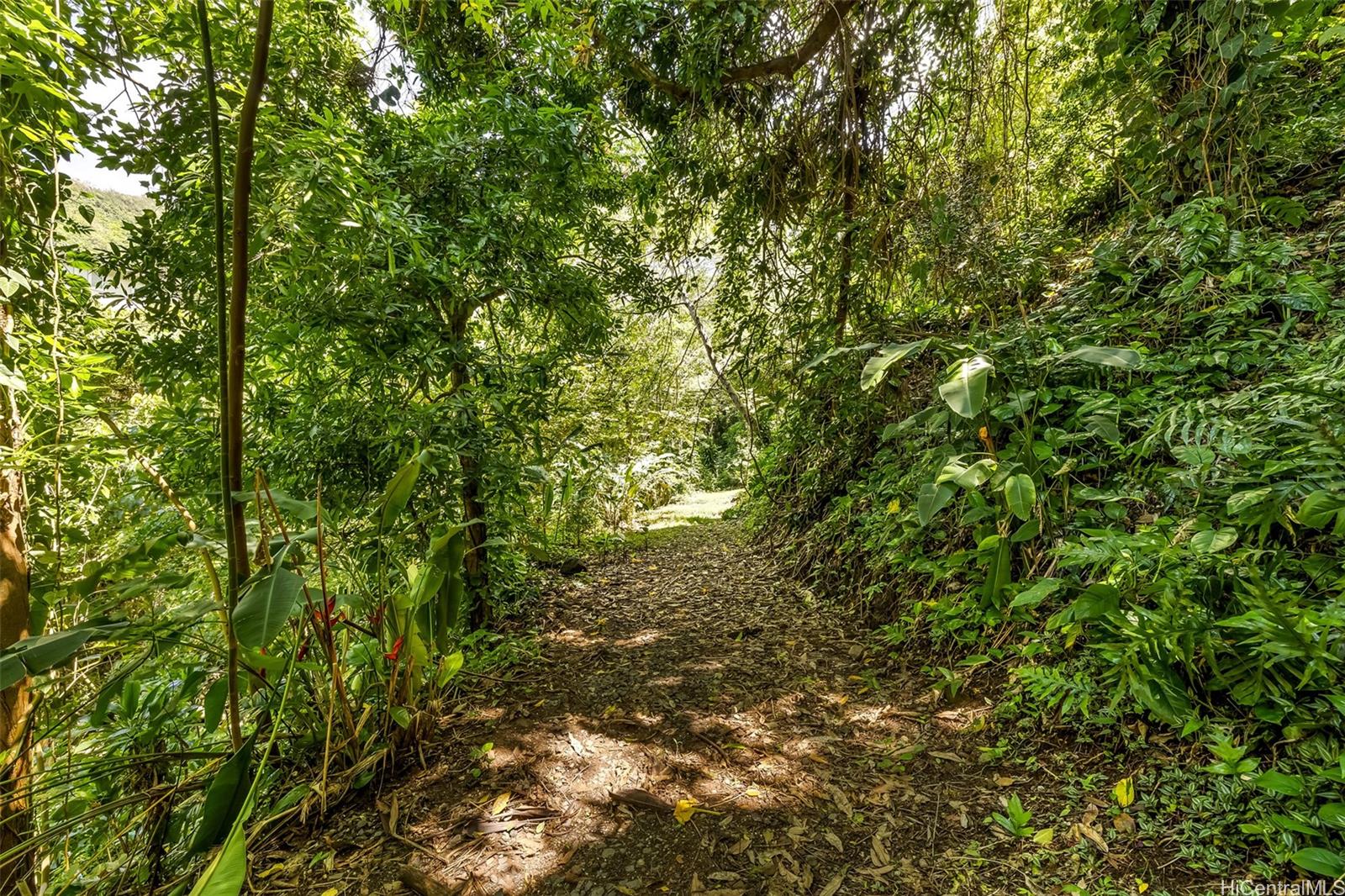 2640 Lai Road, Unit E Honolulu, HI 96816 - Photo 10 of 25 a view of a tree