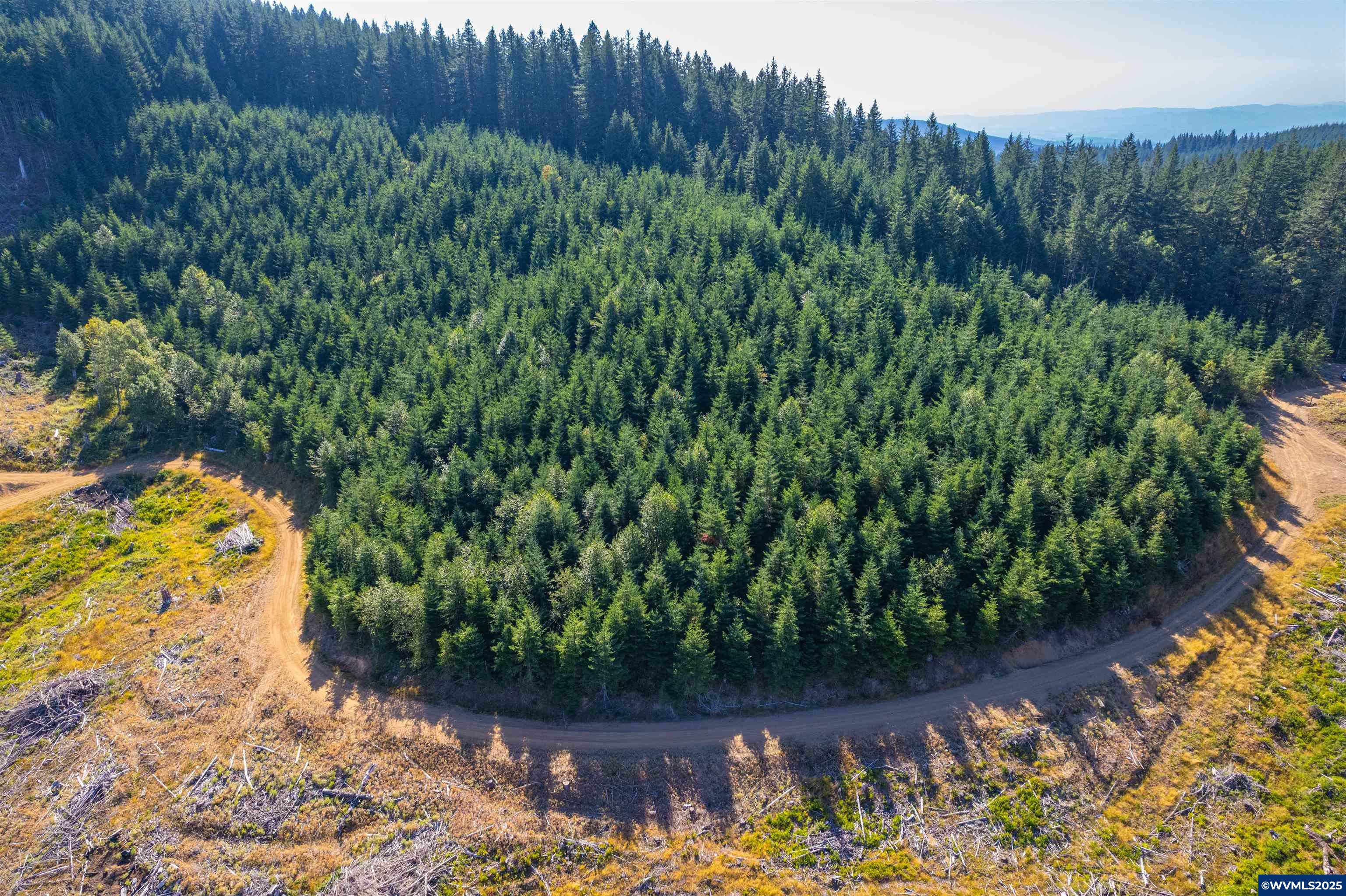0 Bald Mountain Access Road Willamina, OR 97396 - Photo 4 of 30