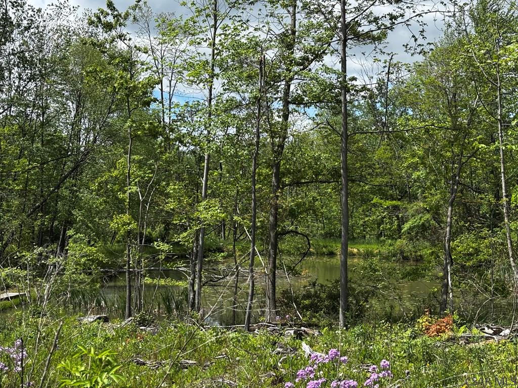 Ridge Road Hooversville, PA 15936 - Photo 12 of 23 Gallery Image 12