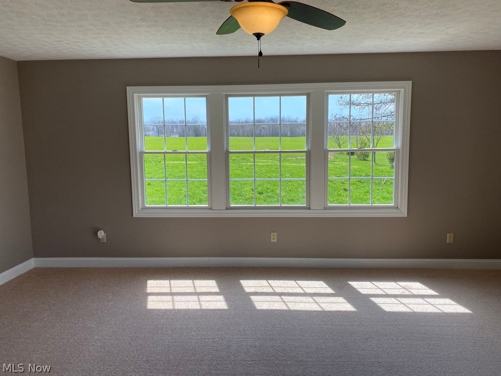 15812 Garfield Road Wakeman, OH 44889 - Photo 12 of 35