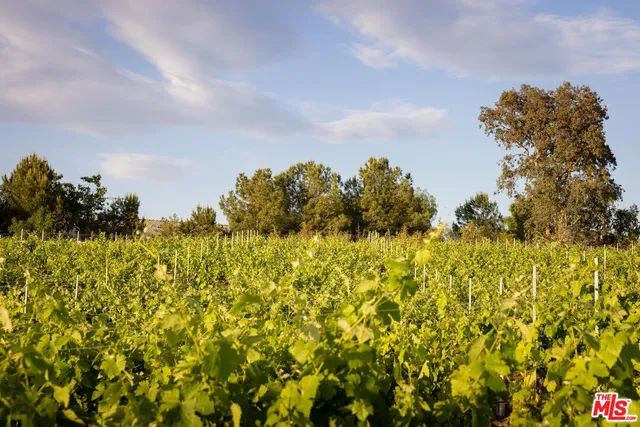 $2,875,000 | 36453 VÃa El Pais Bonita, Temecula, CA 92592