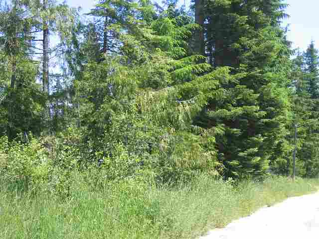 2 Hope Road Newport, WA 99156 - Photo 1 of 4 Gallery Image 1