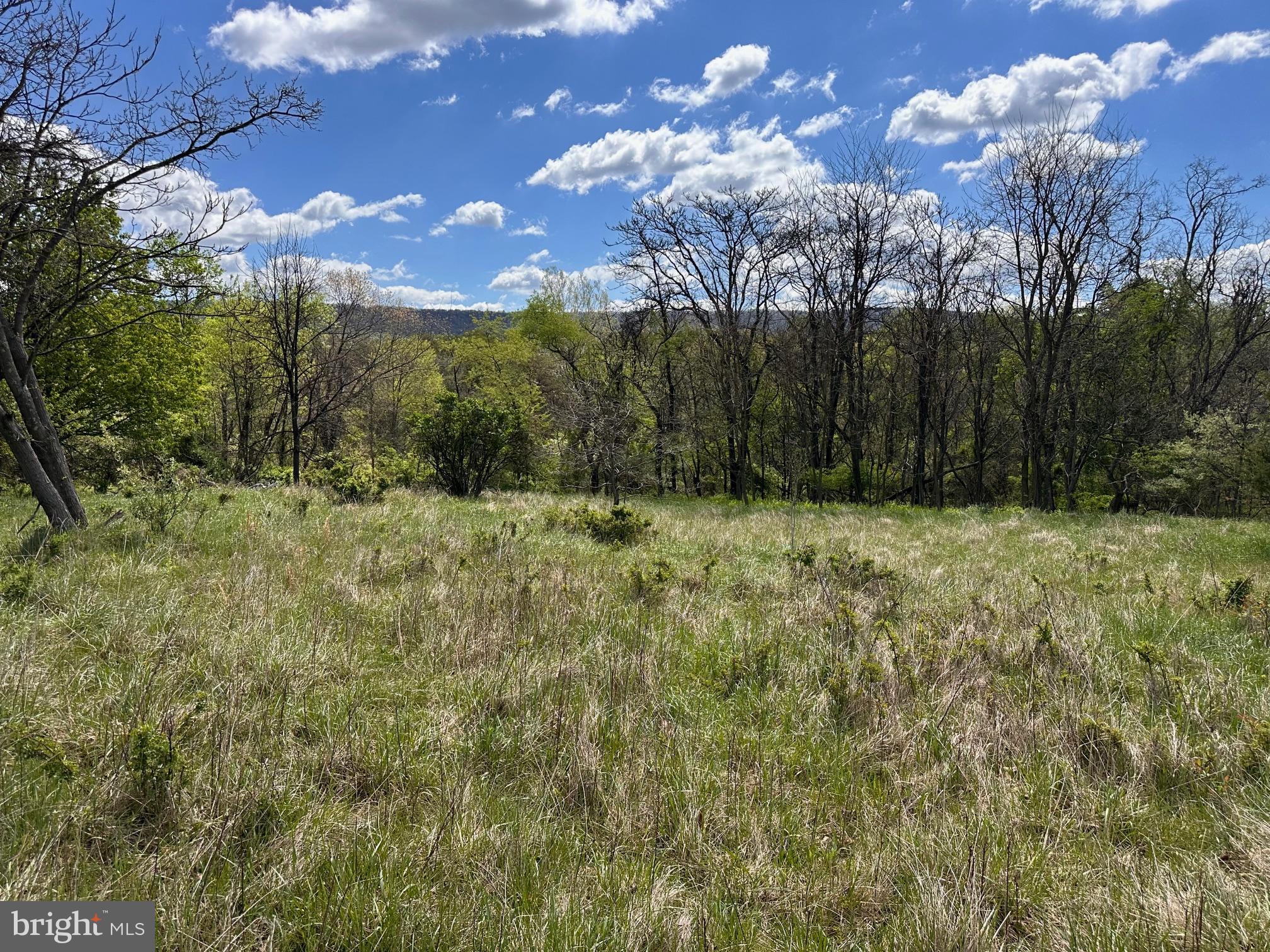 22.52-ac Winchester Grade Road Berkeley Springs, WV 25411 - Photo 11 of 15 Gallery Image 11