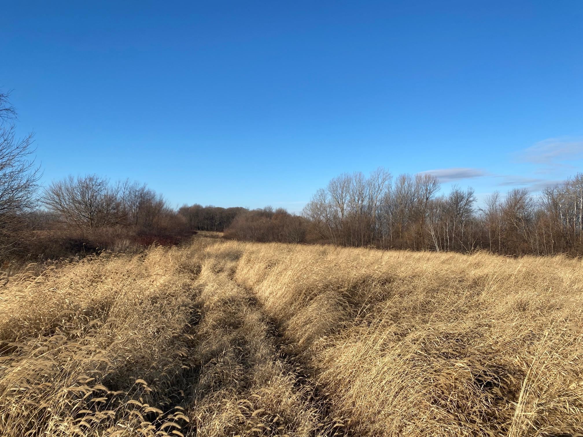 0 Haberkorn Road Sherrill, IA 52073 - Photo 8 of 45 Gallery Image 8