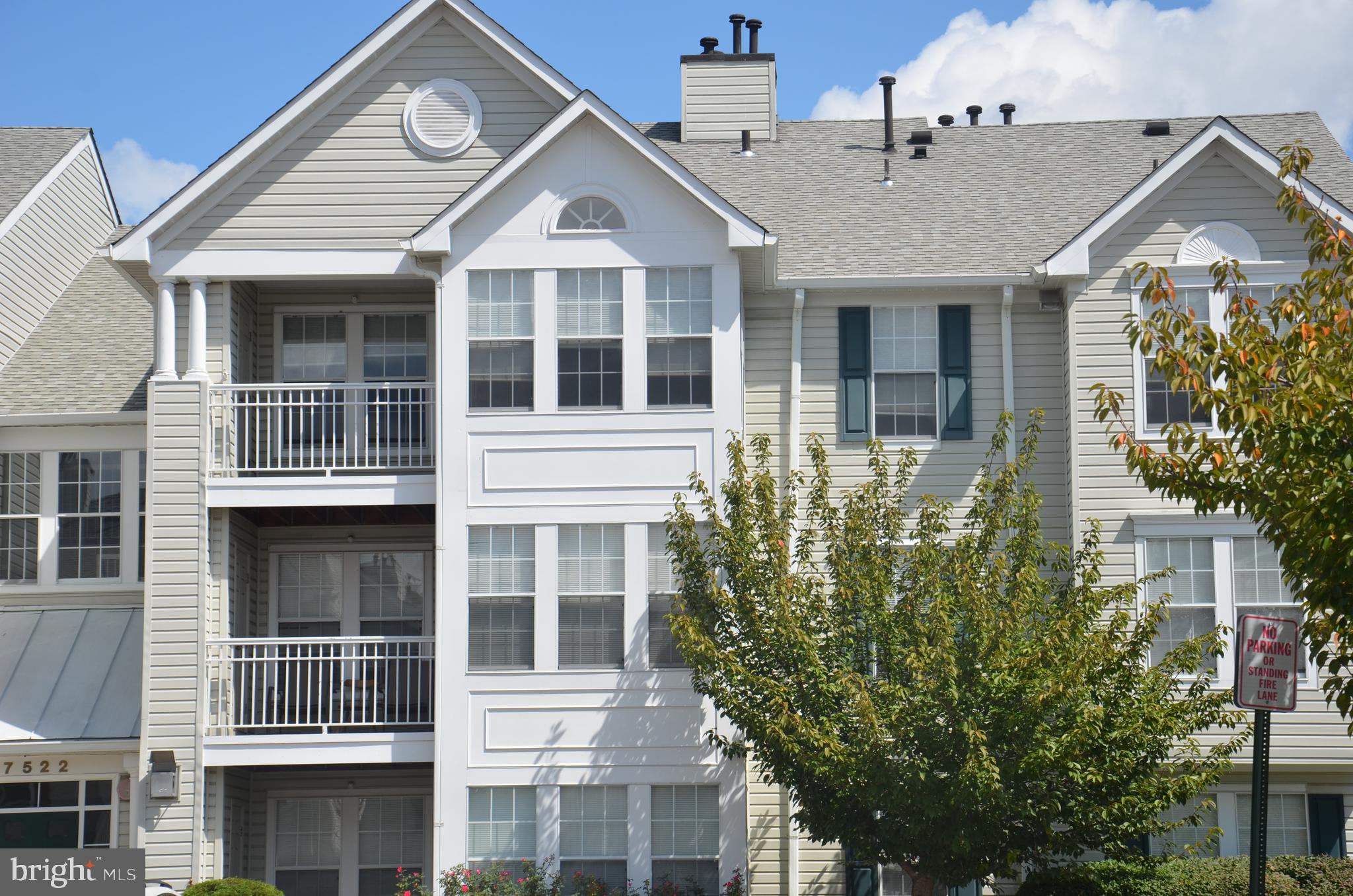 7522 Snowpea Court, Unit 24 Alexandria, VA 22306 - Photo 3 of 19 a front view of a house with a yard and potted plants