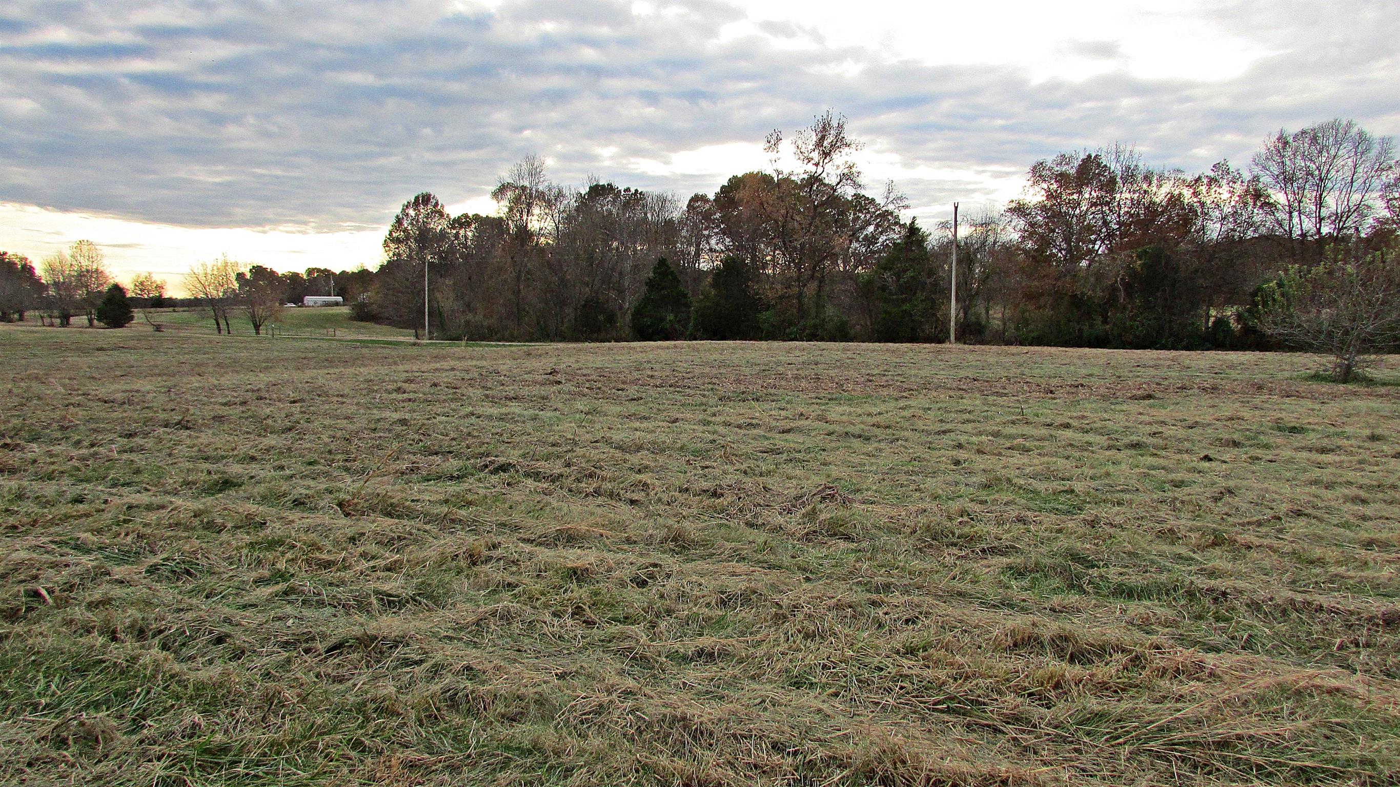 1114 Sun Crest Lane Springfield, TN 37172 - Photo 1 of 7 a view of a yard