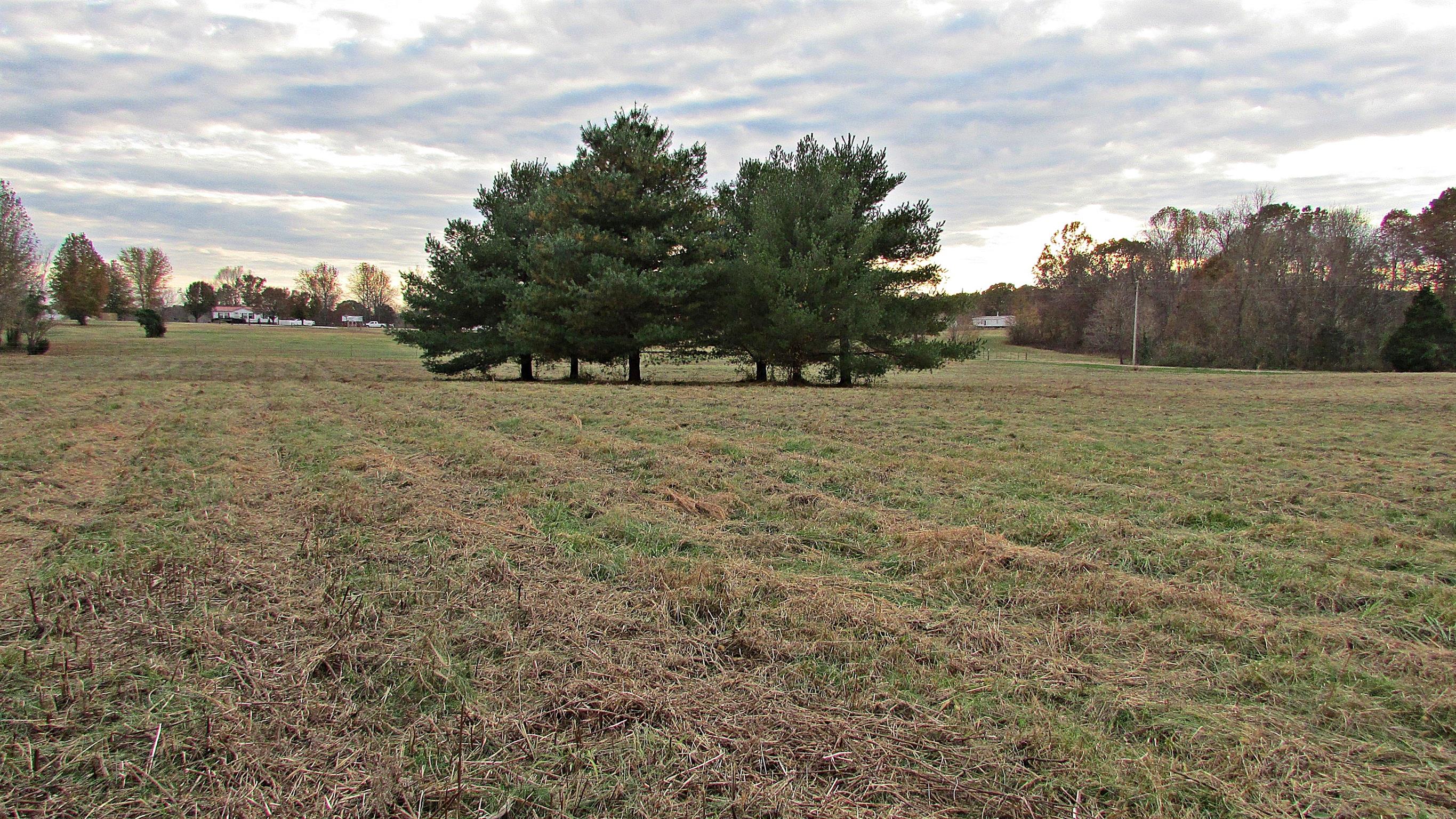 1114 Sun Crest Lane Springfield, TN 37172 - Photo 2 of 7 a view of an outdoor space and yard