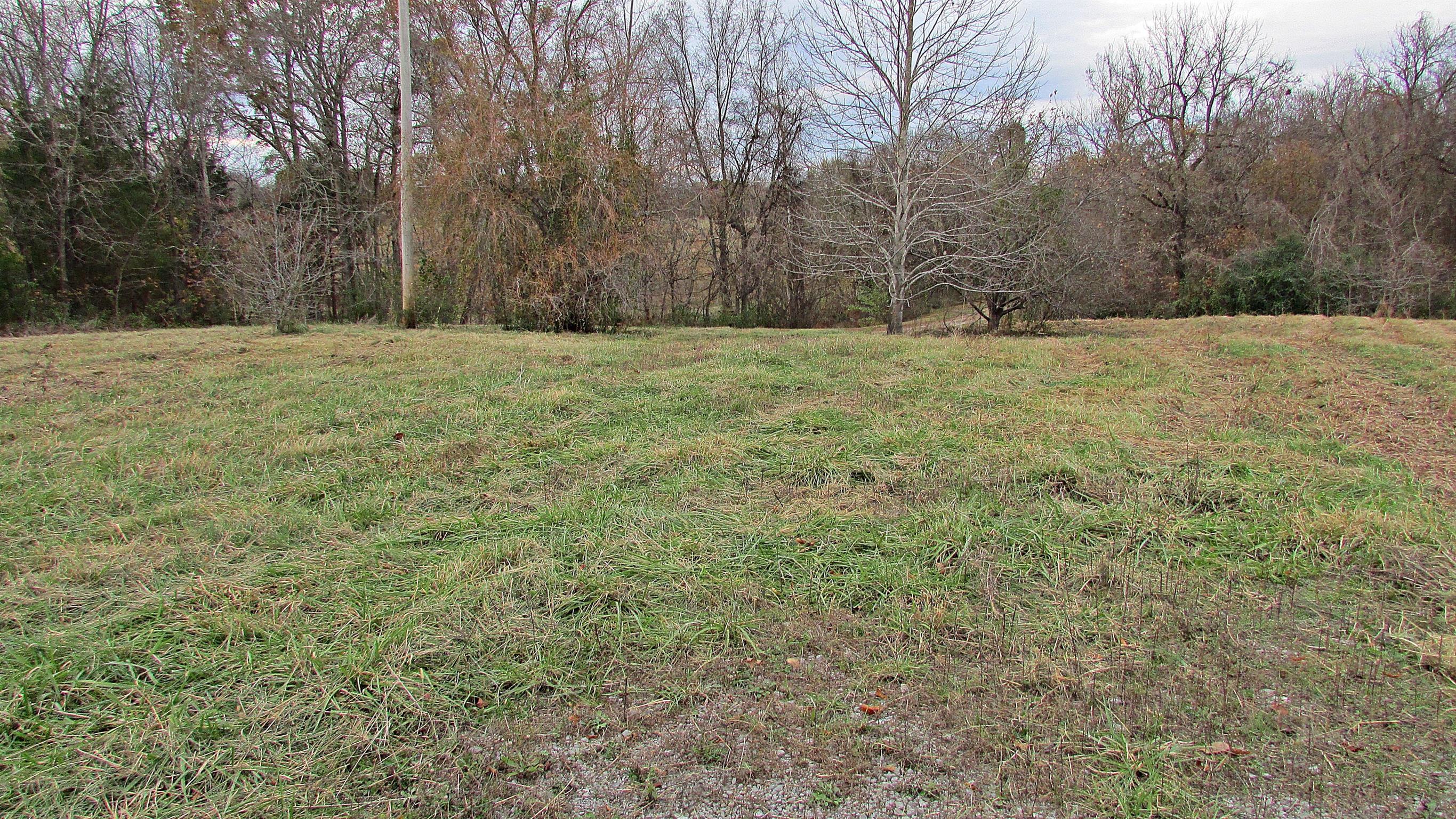 1114 Sun Crest Lane Springfield, TN 37172 - Photo 4 of 7 a grassy field with trees in the background