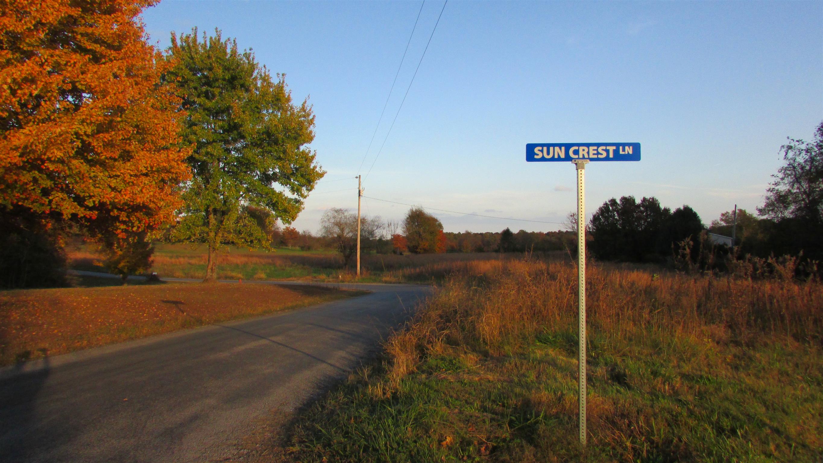 1114 Sun Crest Lane Springfield, TN 37172 - Photo 6 of 7 a view of a street