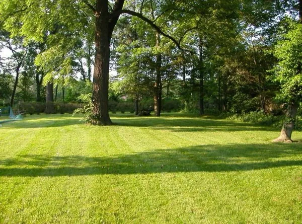 a view of a swimming pool with a yard