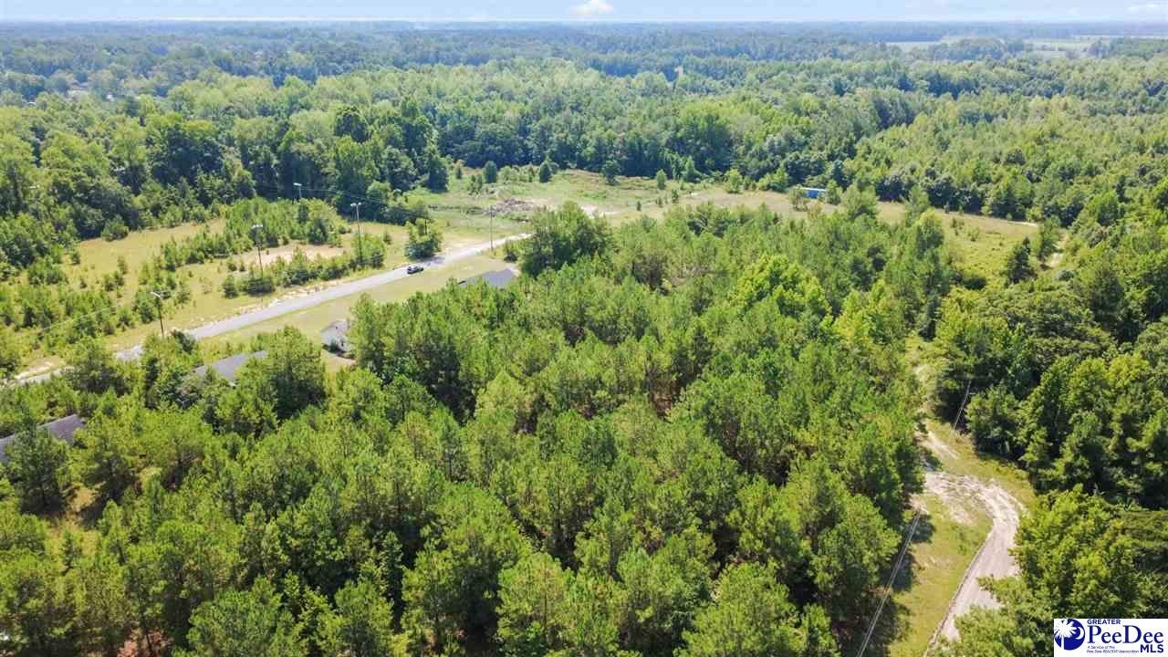 383 Red Road Olanta, SC 29114 - Photo 25 of 28 Gallery Image 25