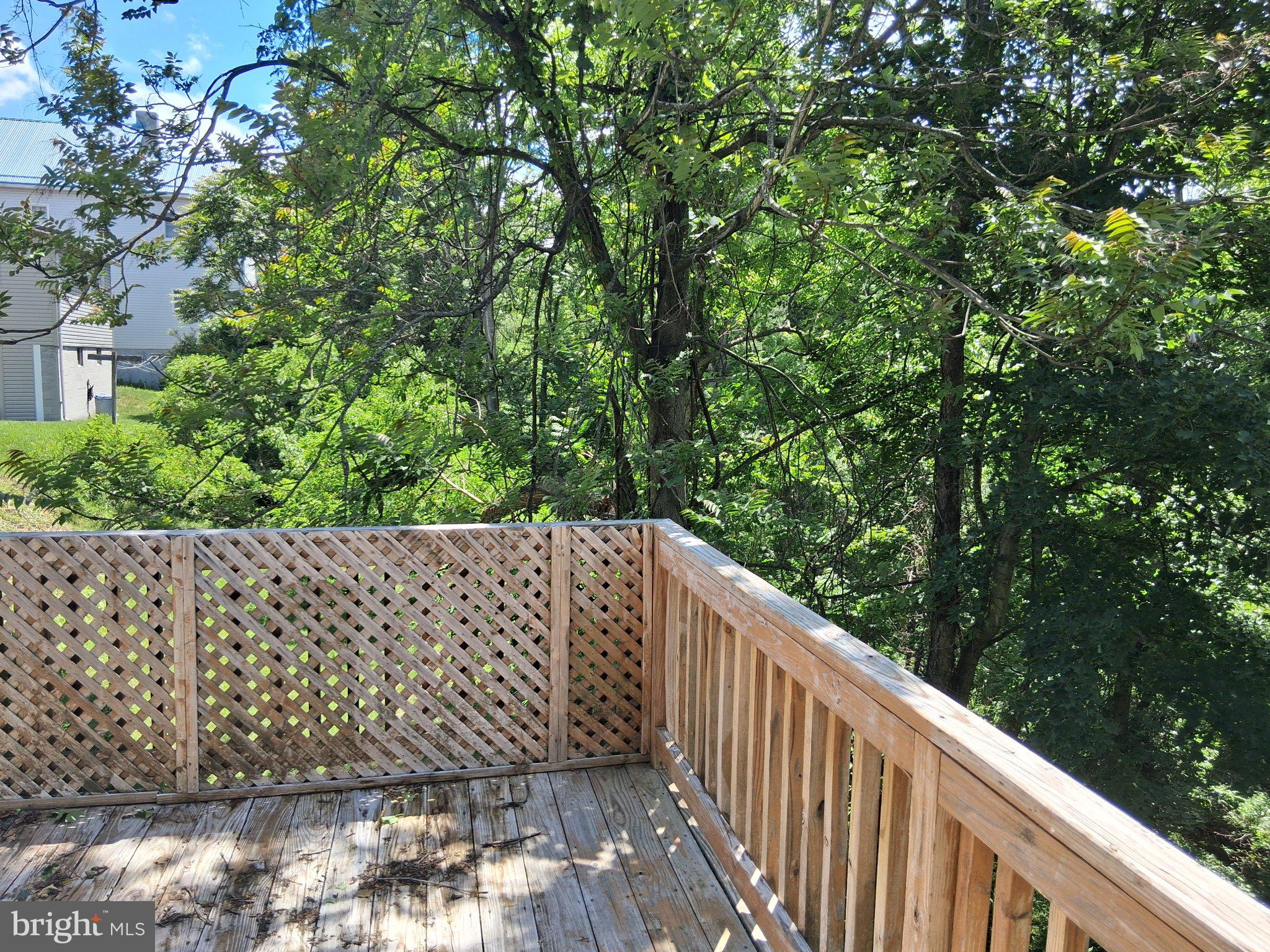 265 View Street Johnstown, PA 15902 - Photo 21 of 66 Serene deck nestled among the trees.