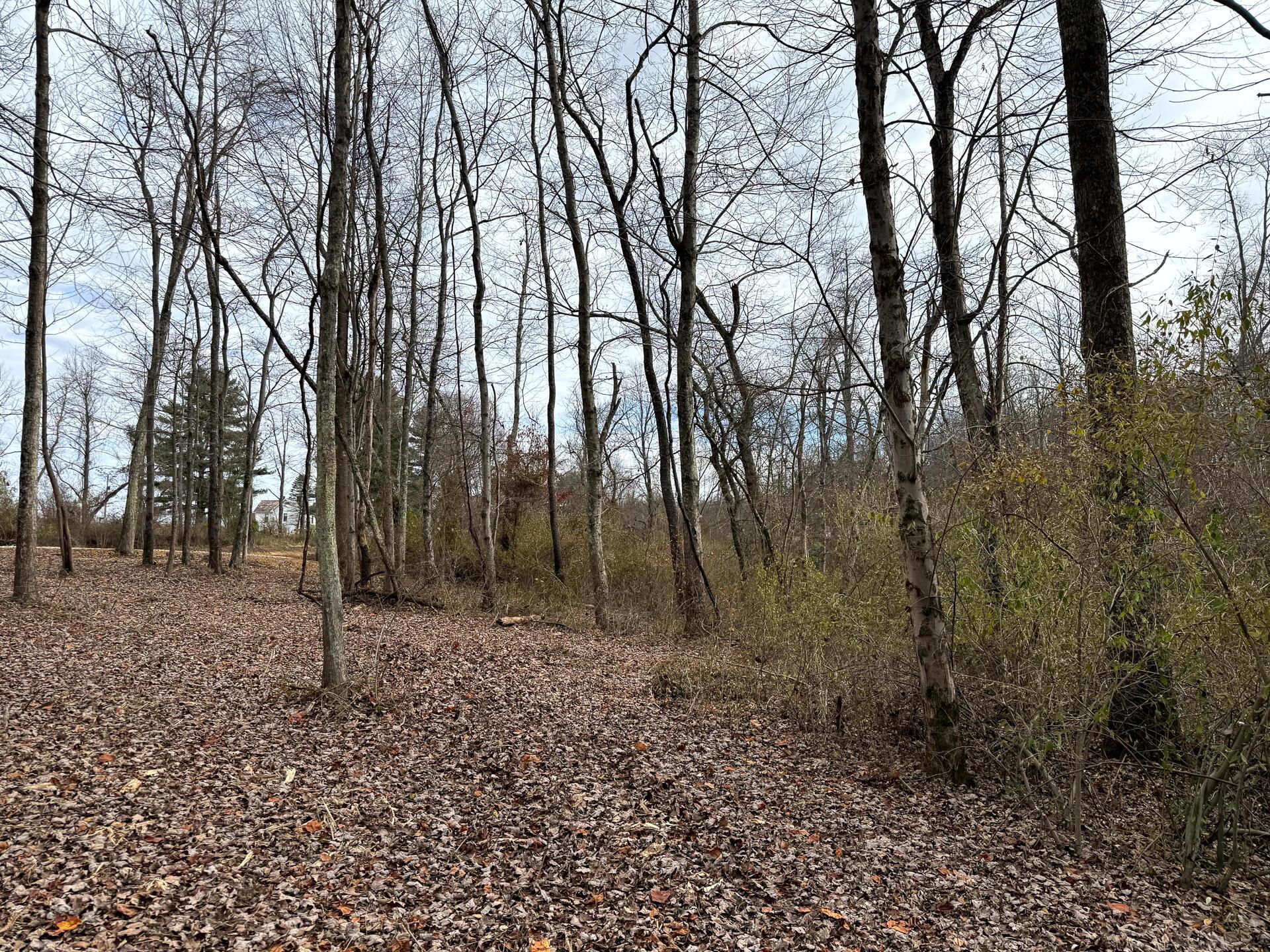 0 Dutch Ridge Road Southeast, Unit WOODS TURKEY RUN TRACT 1) New Lexington, OH 43764 - Photo 23 of 43 CT-23