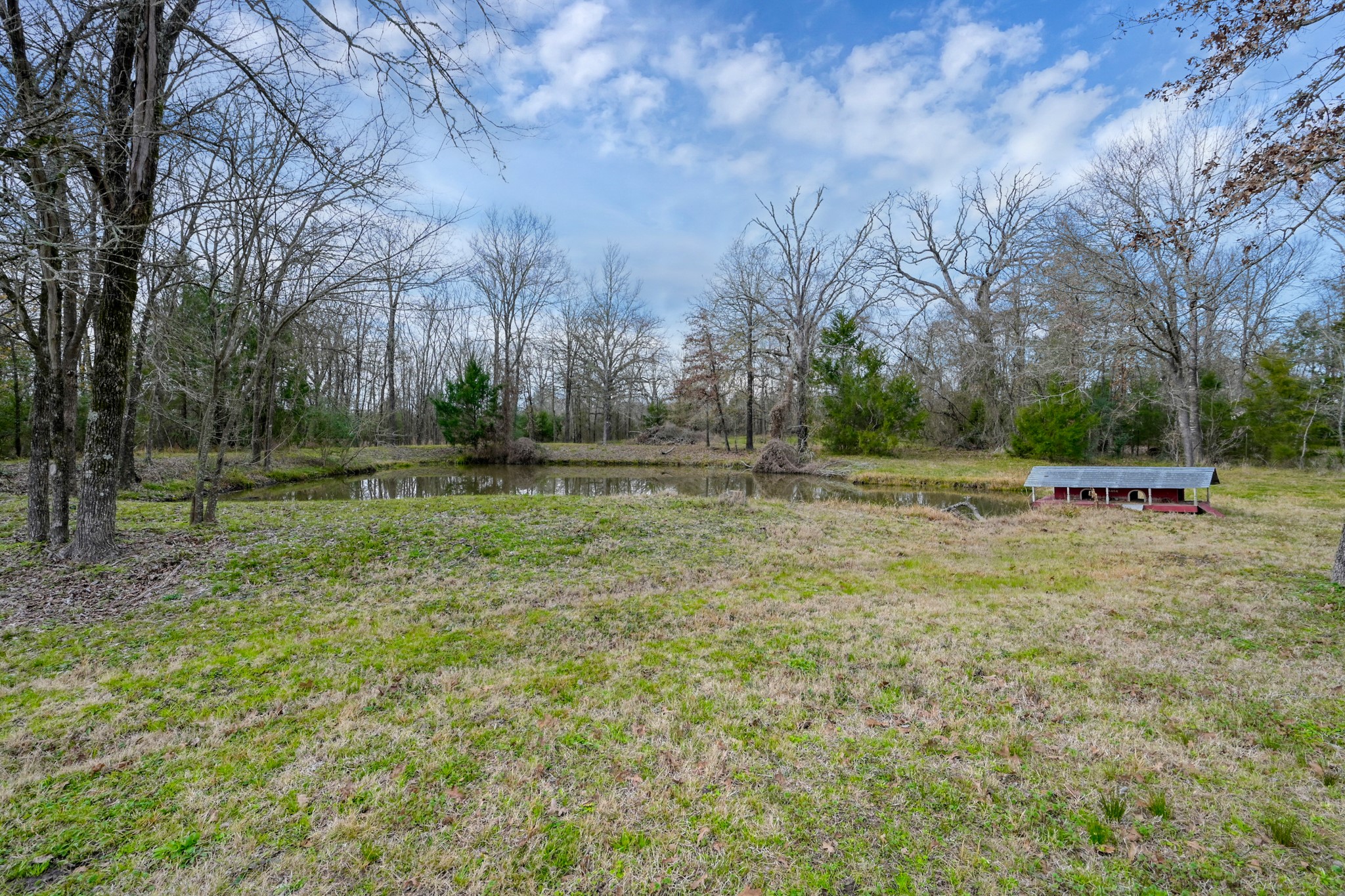 88 Julia Justice Road Huntsville, TX 77320 - Photo 32 of 37 Pond with shelter for fowl
