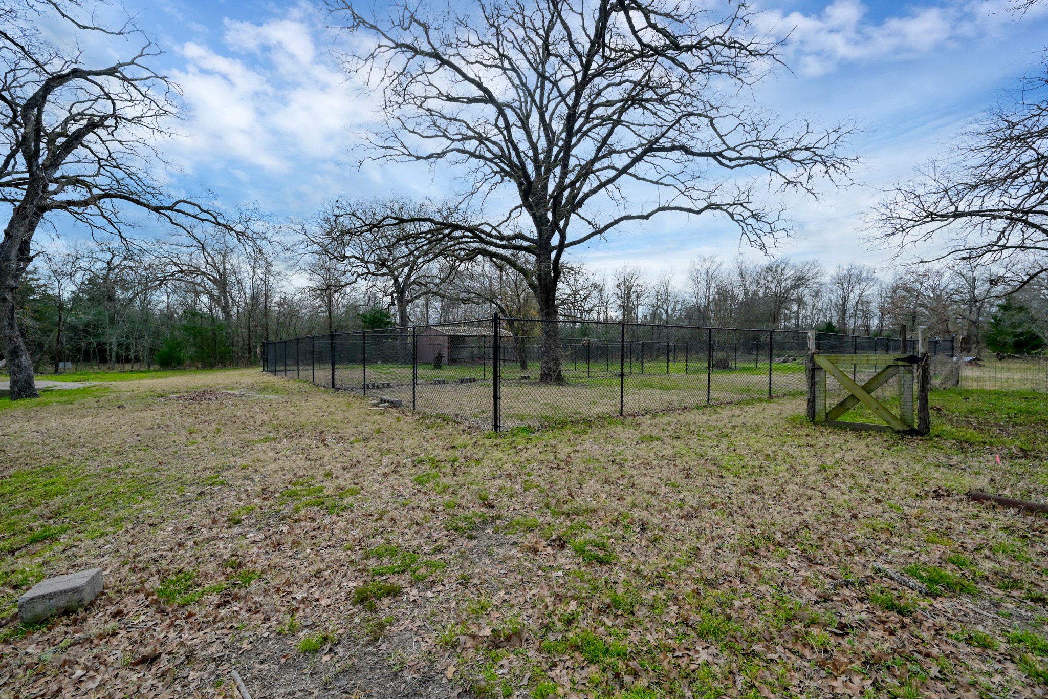 88 Julia Justice Road Huntsville, TX 77320 - Photo 35 of 37 Cross-fenced area between home and pond