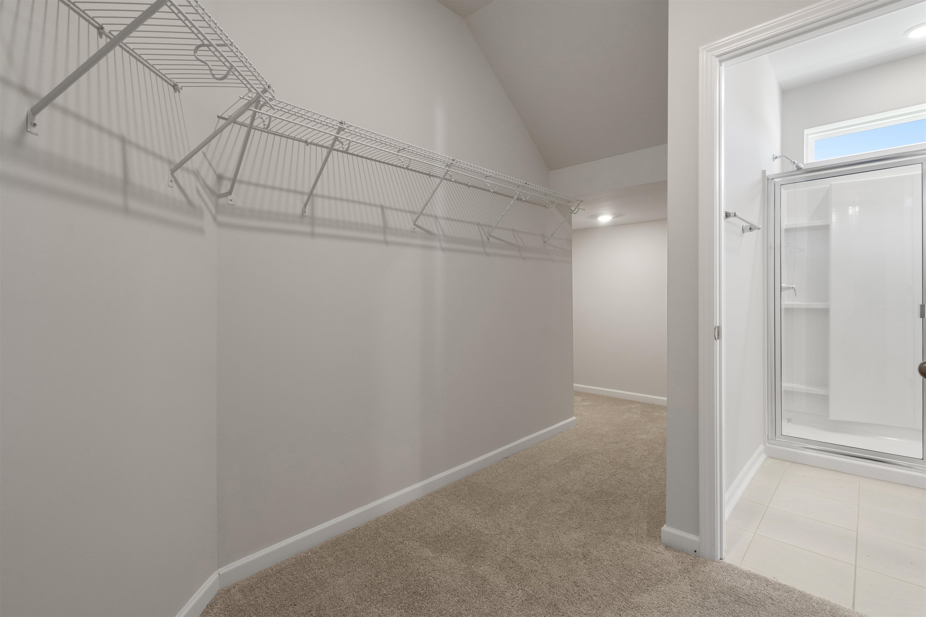 2491 Campton Loop Conway, SC 29527 - Photo 19 of 38 Spacious closet featuring light carpet and lofted ceiling