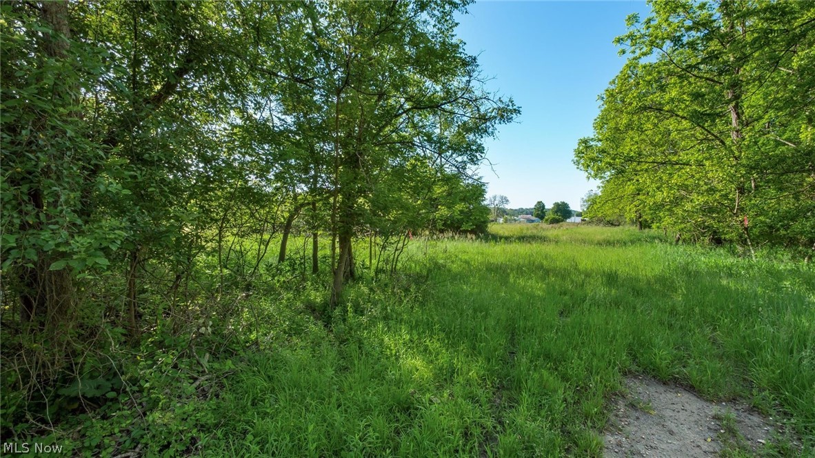 5911 Reform Road Northeast Newark, OH 43055 - Photo 3 of 19 Expansive grassy field framed by mature trees