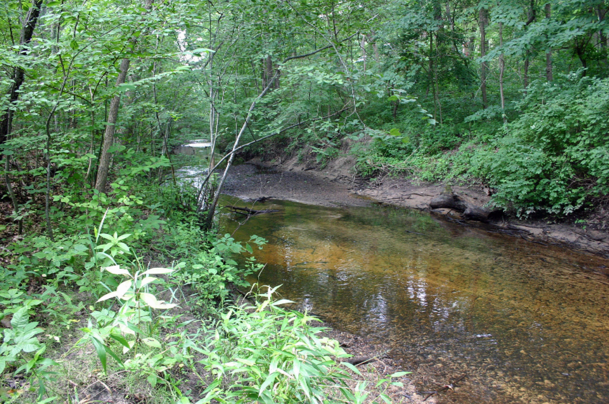 Woodworth lot 0810 Creek 2