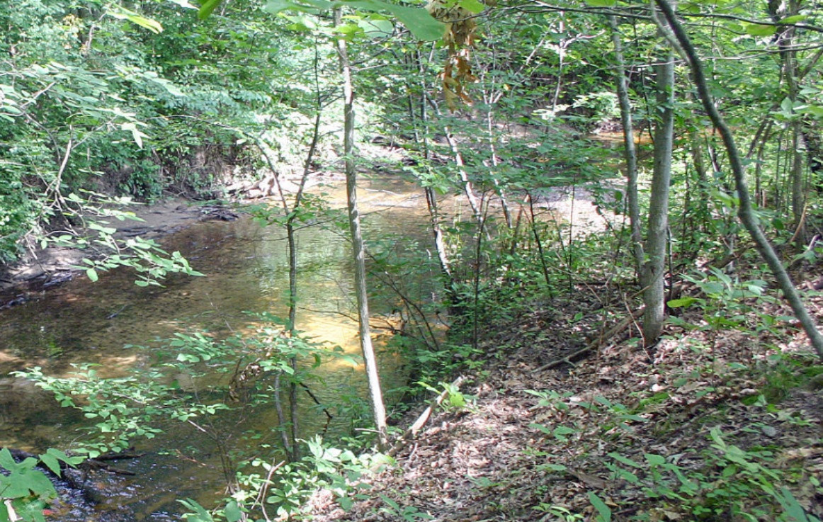 Grand Beach Road New Buffalo, MI 49117 - Photo 3 of 6 Woodworth Lot 0810 Creek 1