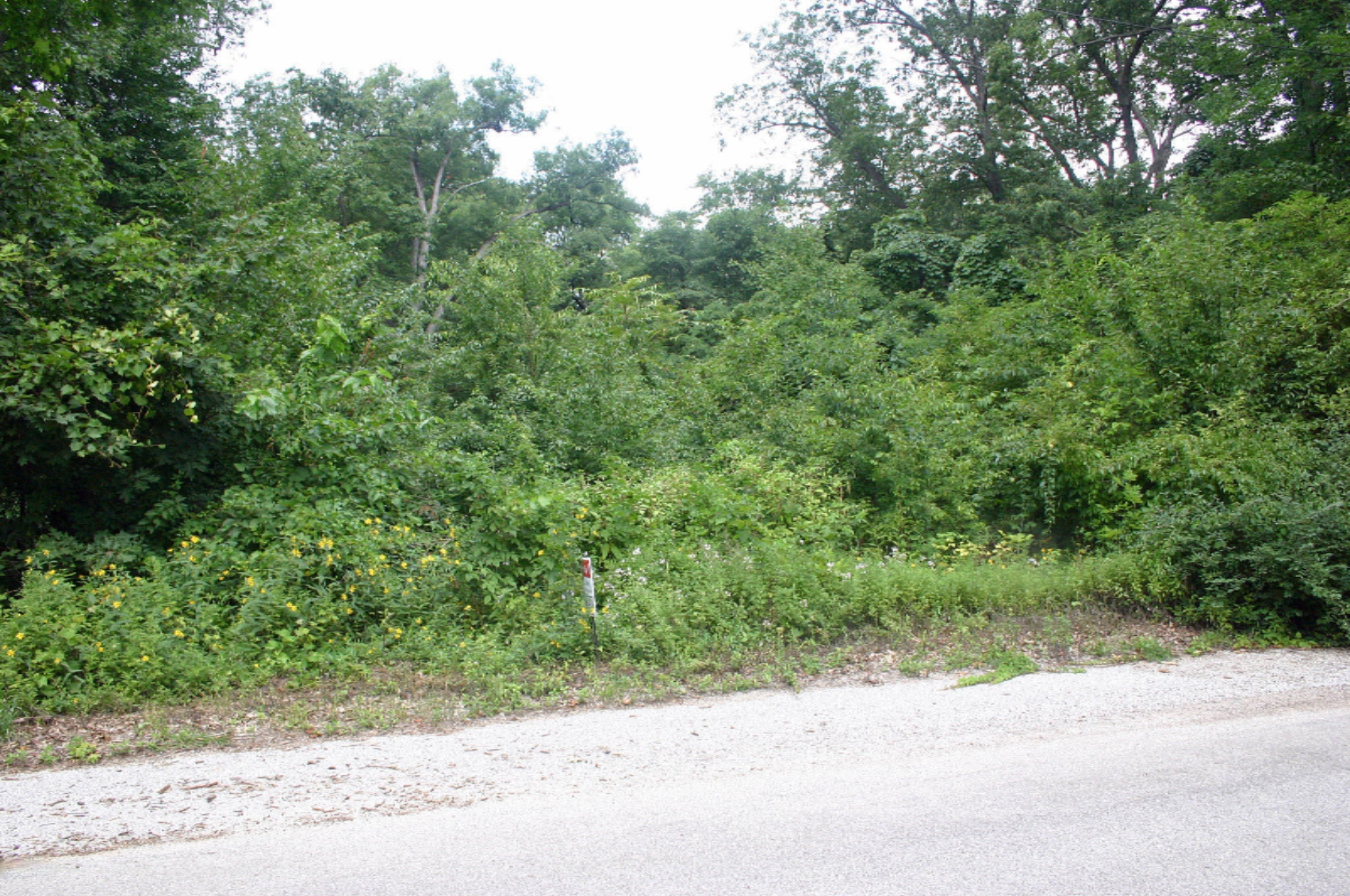 Grand Beach Road New Buffalo, MI 49117 - Photo 5 of 6 Woodworth Lot 0810 Road frontage