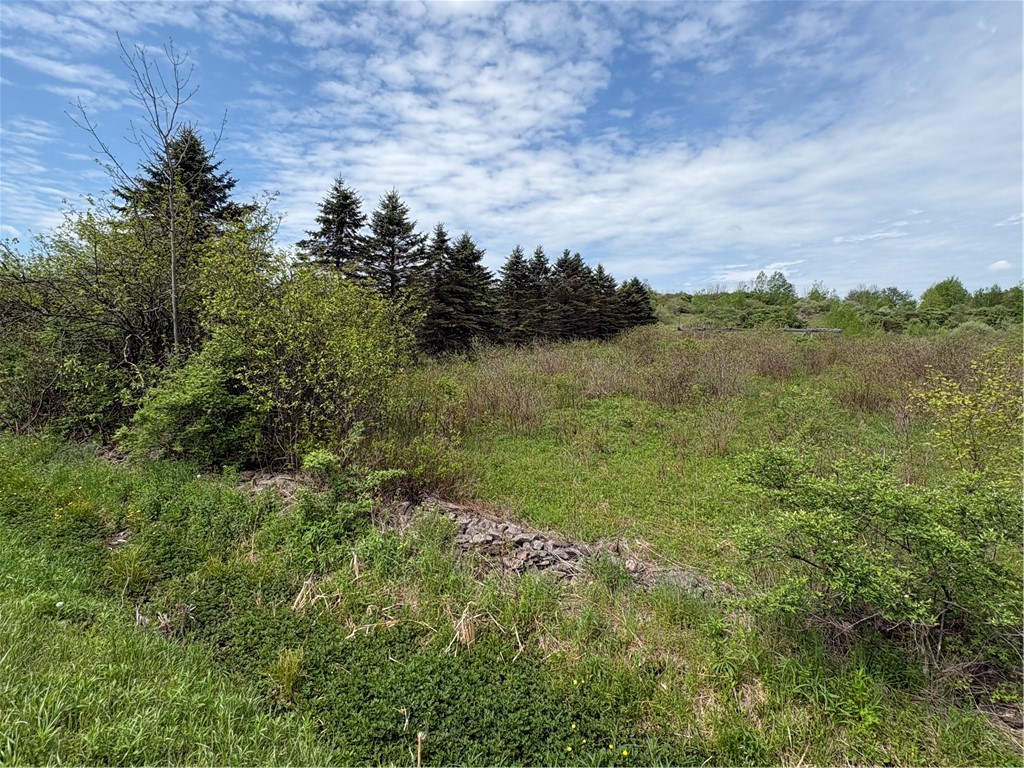 36 County Road Guilford, NY 13780 - Photo 11 of 38