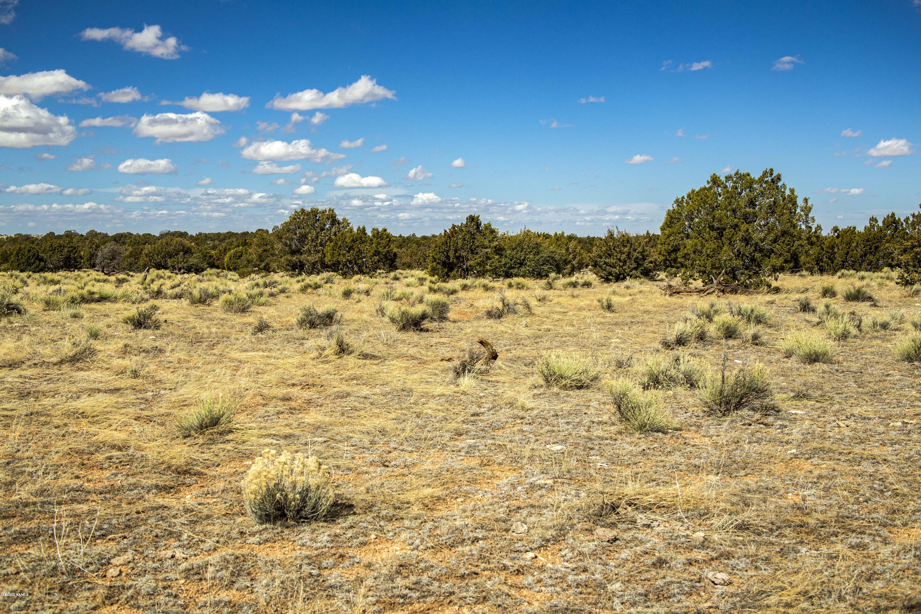 8759 West Red Bluff Road Williams, AZ 86046 - Photo 2 of 6 West Facing View