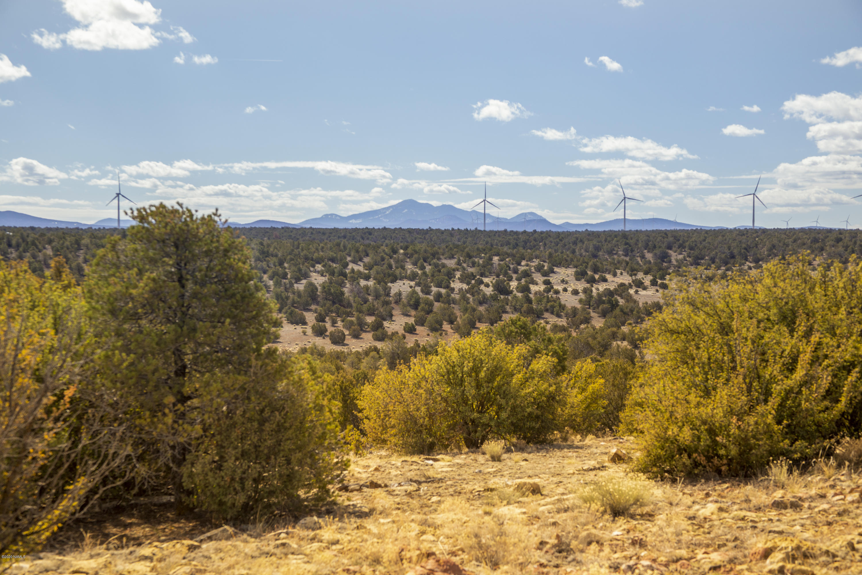 8759 West Red Bluff Road Williams, AZ 86046 - Photo 3 of 6 South Facing View