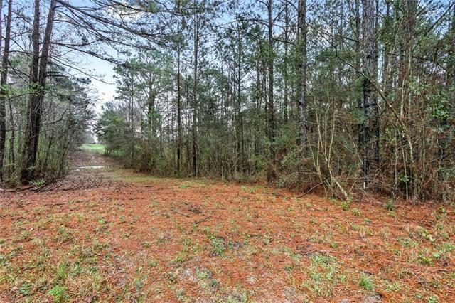 81443 F Jenkins Road Bush, LA 70431 - Photo 1 of 1