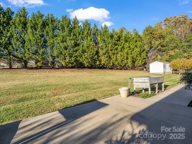 a view of backyard and tree