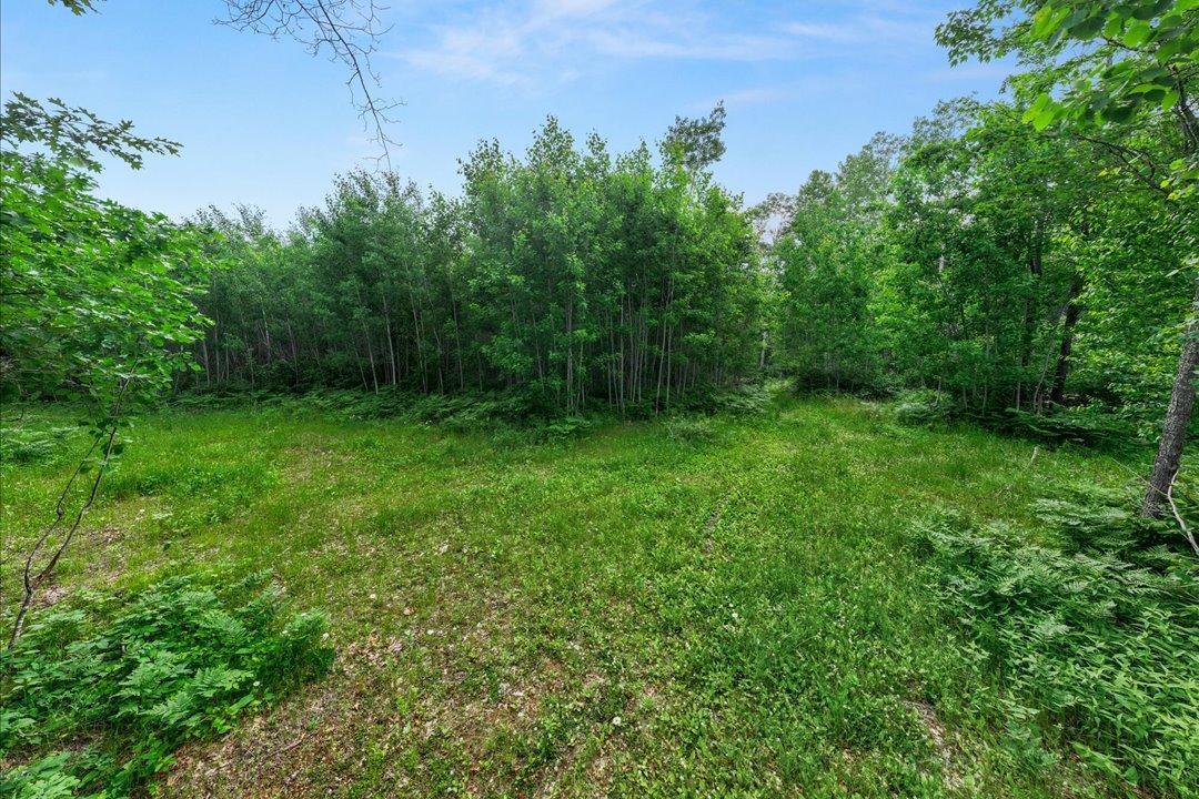 Tbd Mitchell Road Nisswa, MN 56468 - Photo 20 of 22