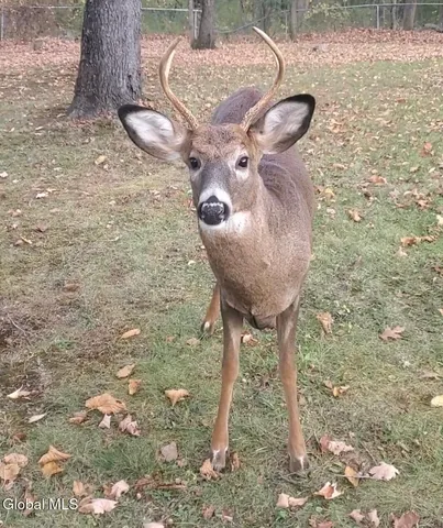 $725,000 | 5112 Jockey Street, Ballston Spa, NY 12020