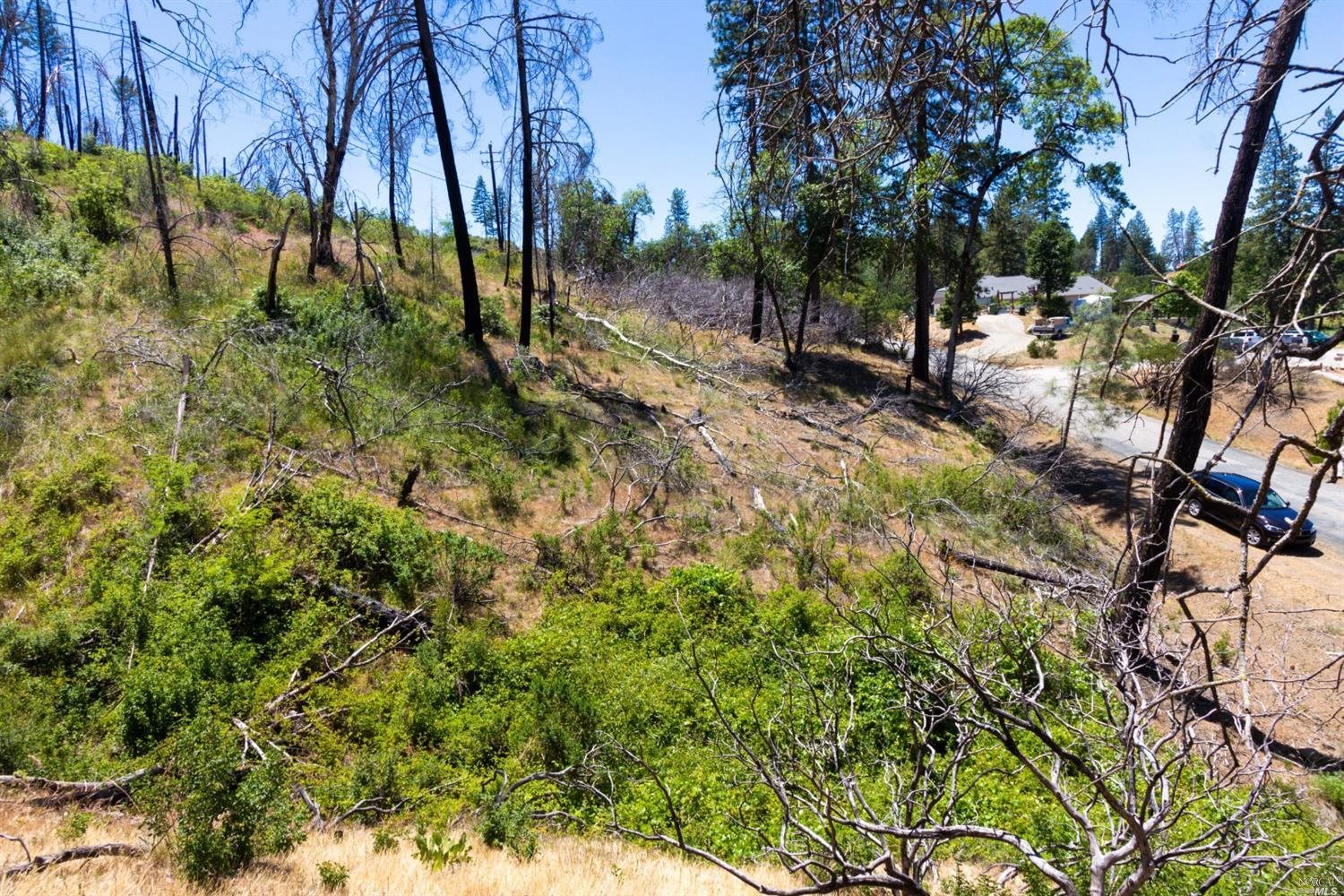 a view of outdoor space with trees