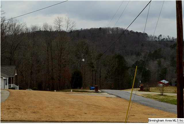 228 Dorr Road Oneonta, AL 35121 - Photo 21 of 22