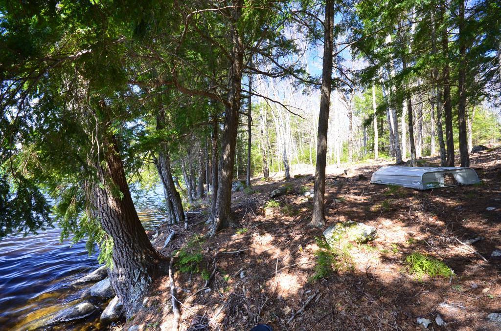 L1 Houston Road Lincoln, ME 04457 - Photo 6 of 11 Photo