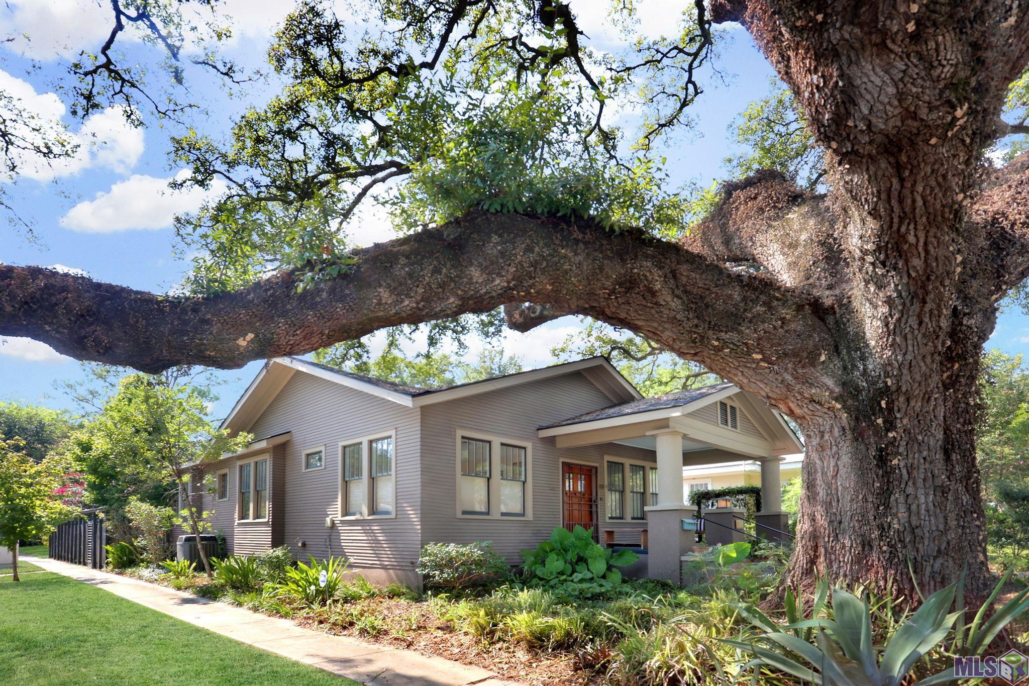 532 Park Boulevard Baton Rouge, LA 70802 - Photo 3 of 18 Gallery Image 3