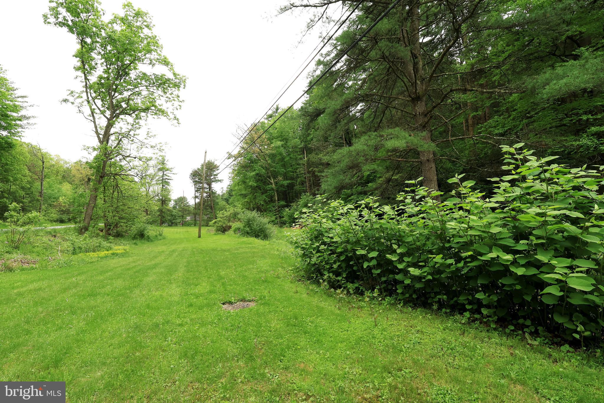 904 Moose Run Road Bellefonte, PA 16823 - Photo 54 of 62