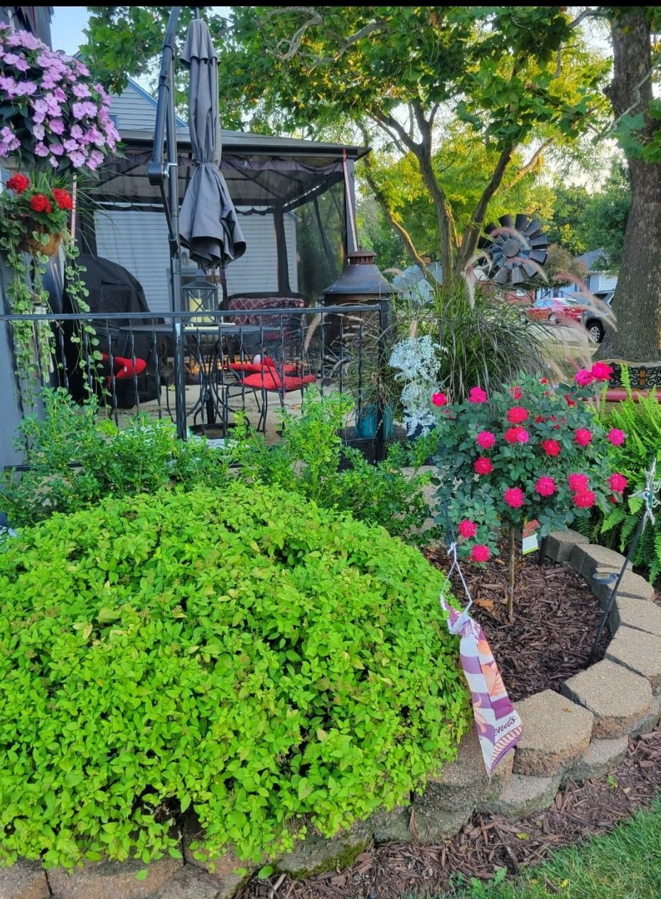 401 Junius Street Loves Park, IL 61111 - Photo 28 of 33