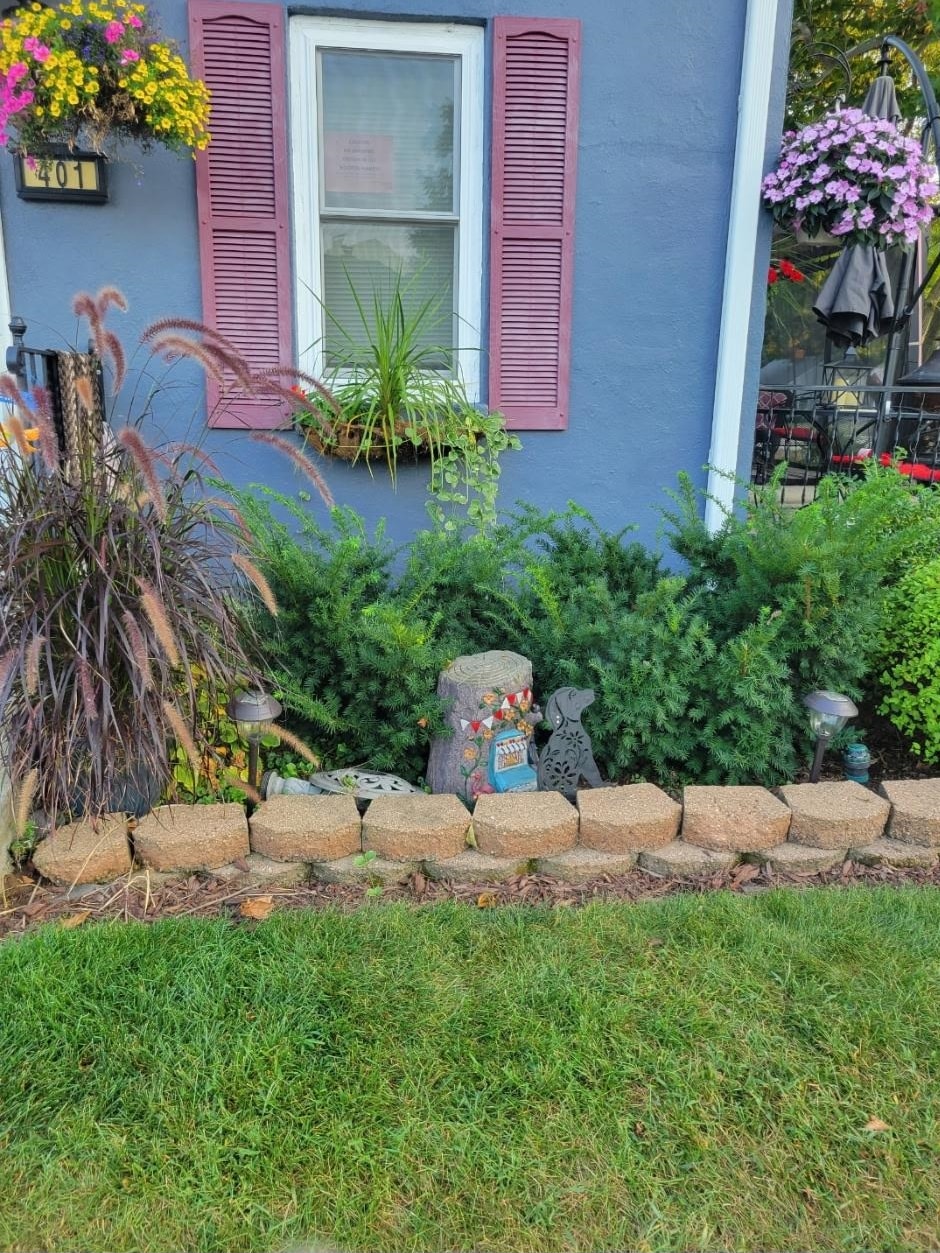 401 Junius Street Loves Park, IL 61111 - Photo 32 of 33 a view of a backyard with plants and palm trees