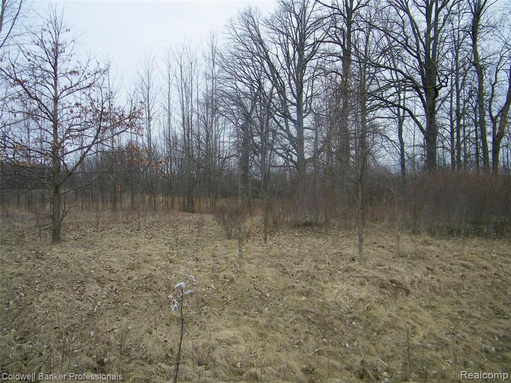 11 Turtle Lake Road North Branch, MI 48461 - Photo 1 of 7
