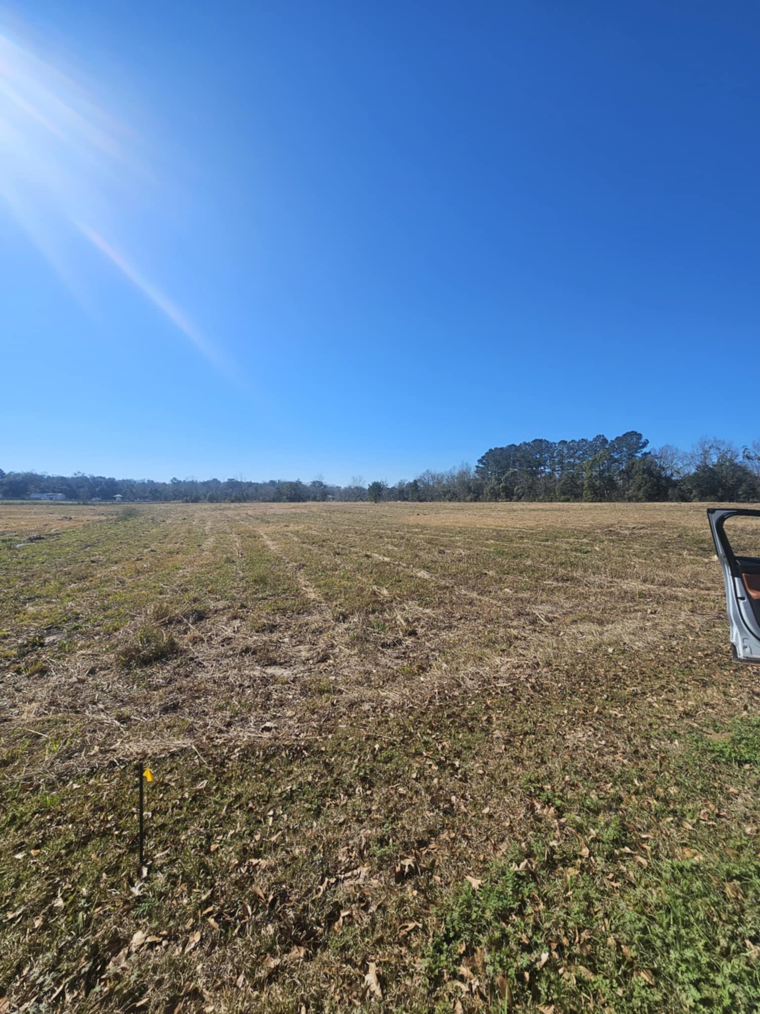 0 Black Griffin Road Loxley, AL 36551 - Photo 8 of 8 Yard