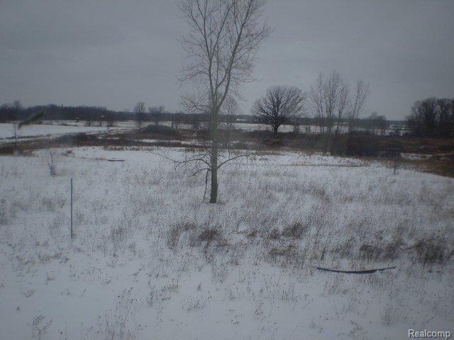 2321 Haines Road Lapeer, MI 48446 - Photo 16 of 17 Haines View