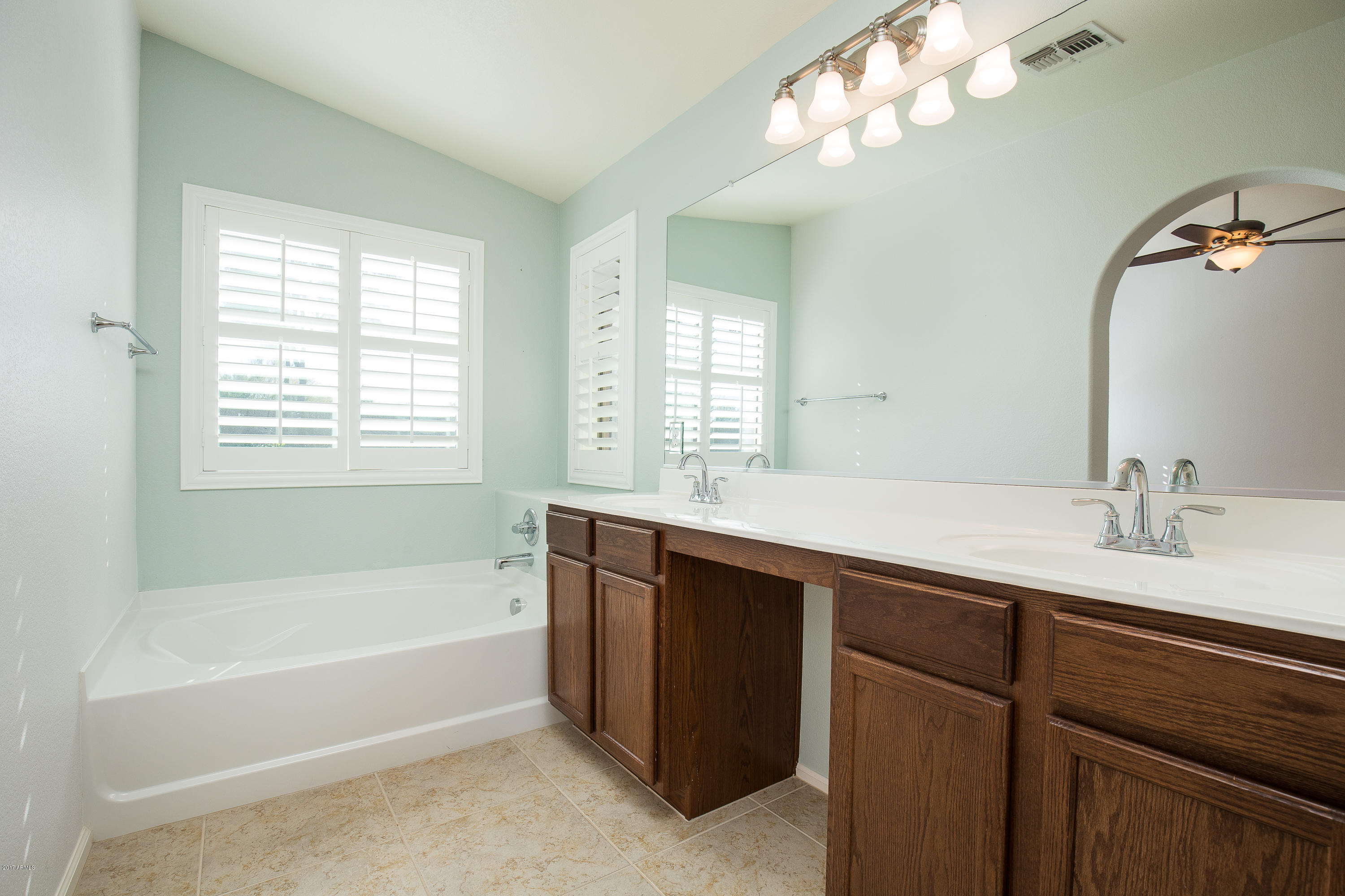 3491 South Rim Road Gilbert, AZ 85297 - Photo 10 of 16 Master Bath