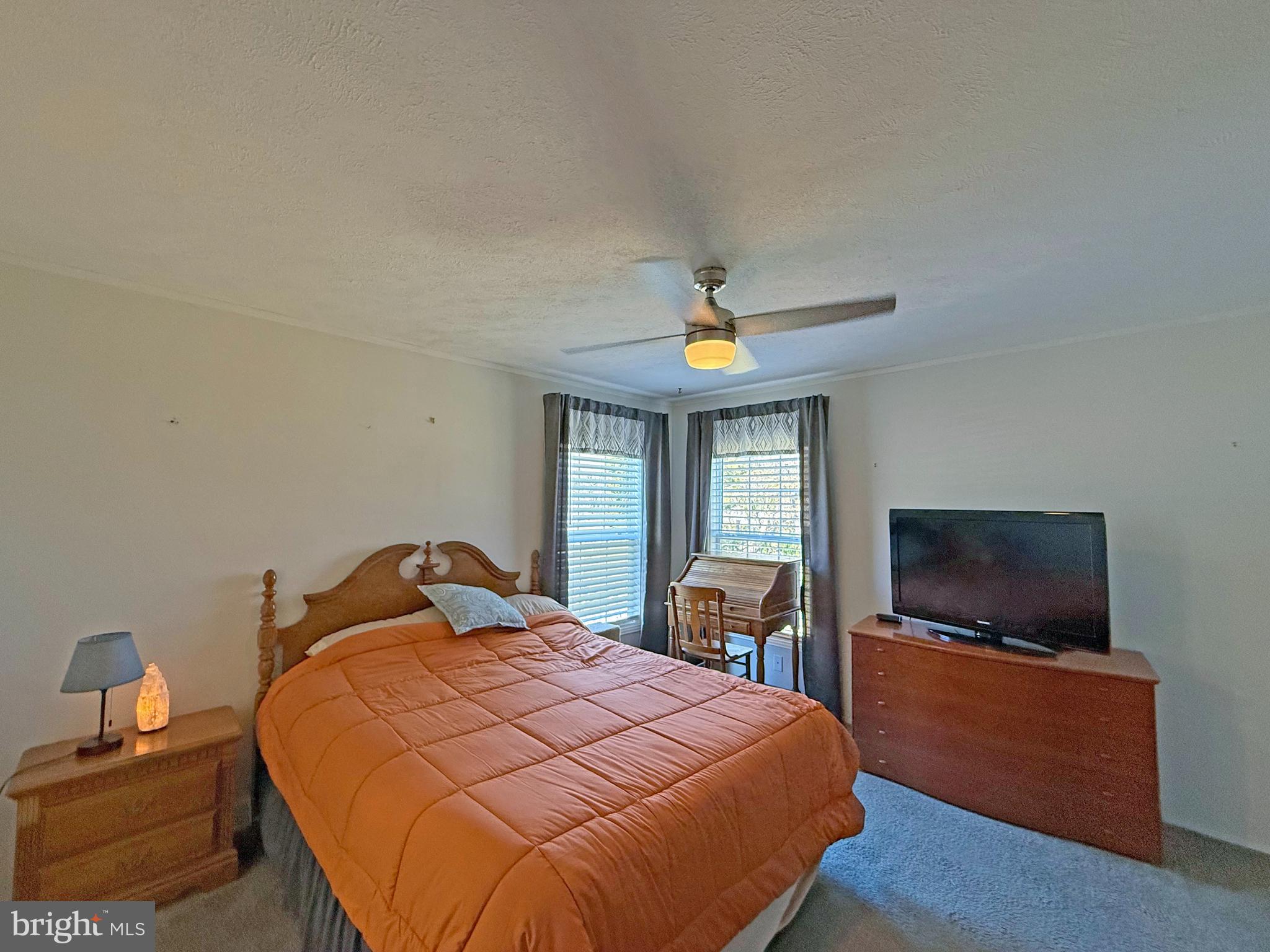 31655 Janice Road, Unit A36 Lewes, DE 19958 - Photo 11 of 32 a bedroom with a bed and a flat screen tv