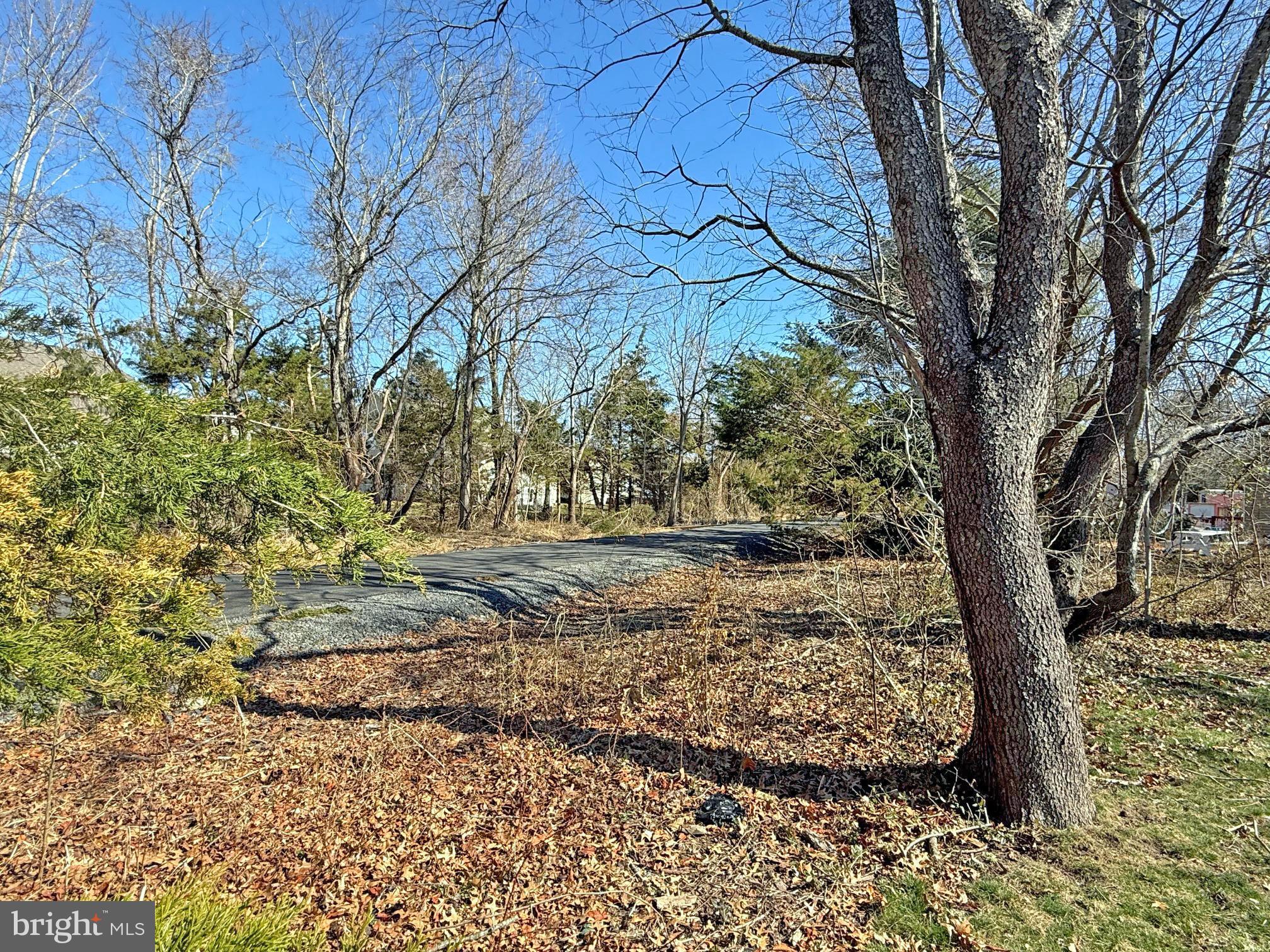 31655 Janice Road, Unit A36 Lewes, DE 19958 - Photo 28 of 32 a view of a yard with large trees