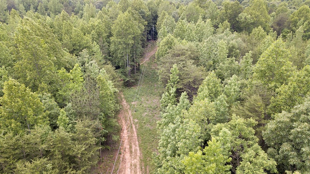 Gallery Image 7