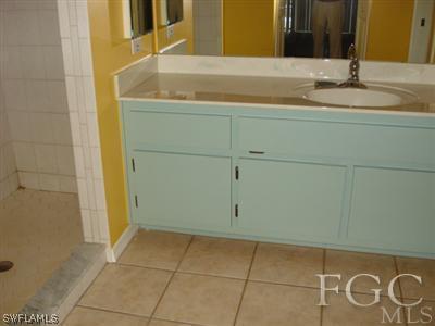 17517 Allentown Road Fort Myers, FL 33967 - Photo 5 of 9 a bathroom with a sink and a mirror