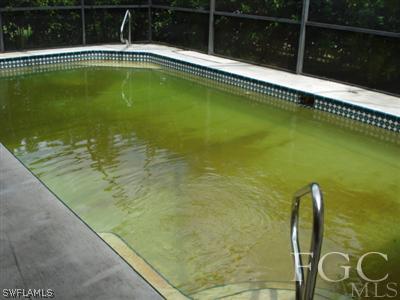 17517 Allentown Road Fort Myers, FL 33967 - Photo 9 of 9 a swimming pool with window