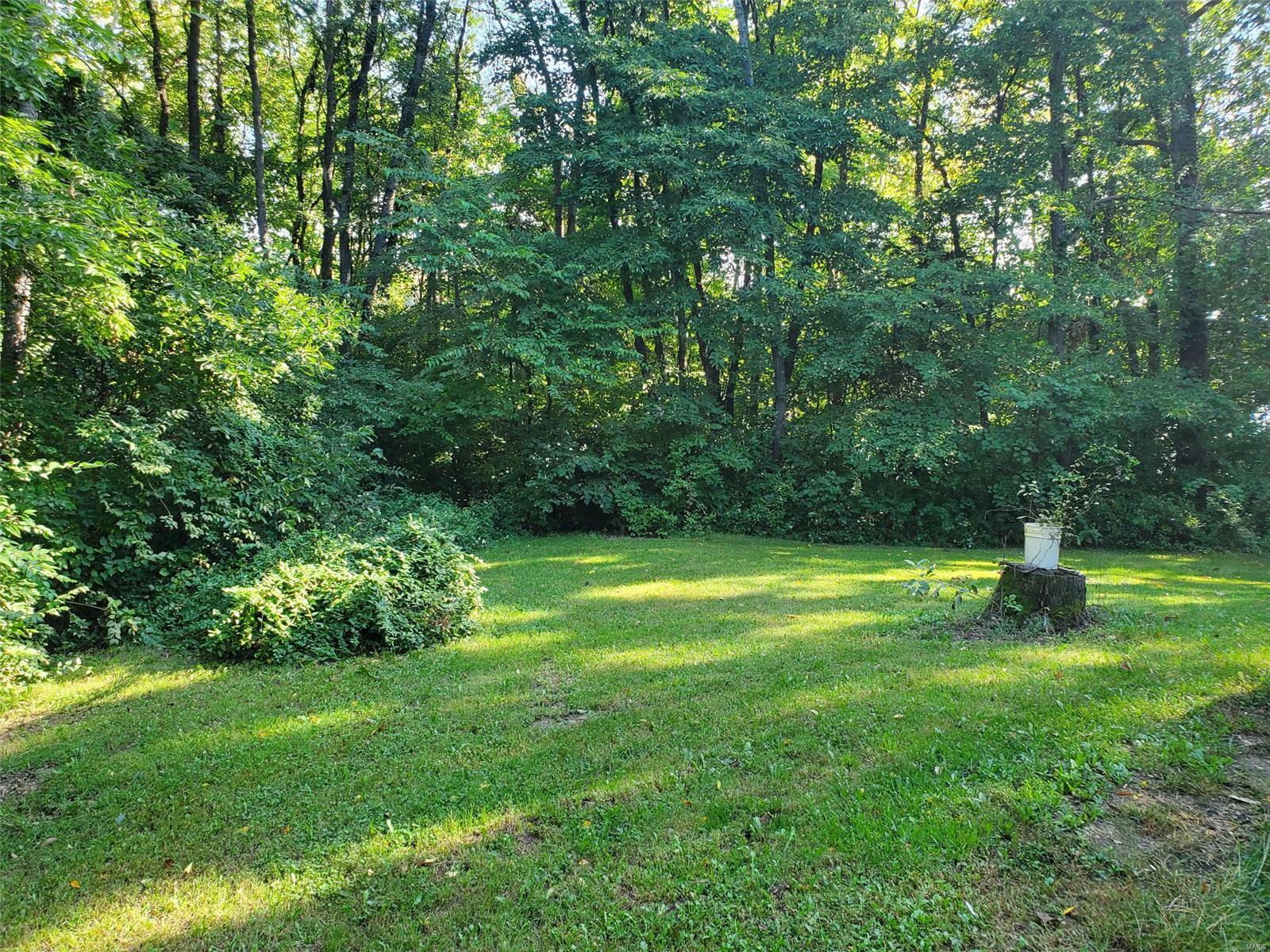 20504 Emerald Road Carlyle, IL 62231 - Photo 2 of 21